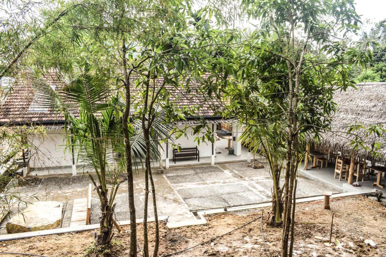 Bunk 15 Hiriketiya Albergue Dikwella Sur Exterior foto